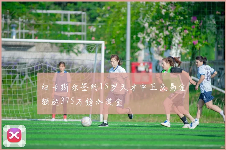 纽卡斯尔签约15岁天才中卫交易金额达375万镑加奖金